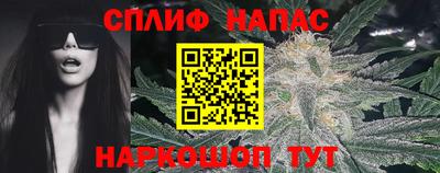 стаф Славгород