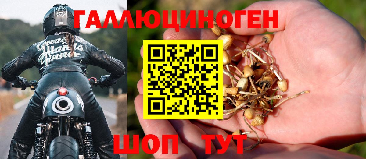 Галлюциногенные грибы Cubensis  Галлюциногенные грибы GOLDEN TEACHER  Вход с VPN  Омск 