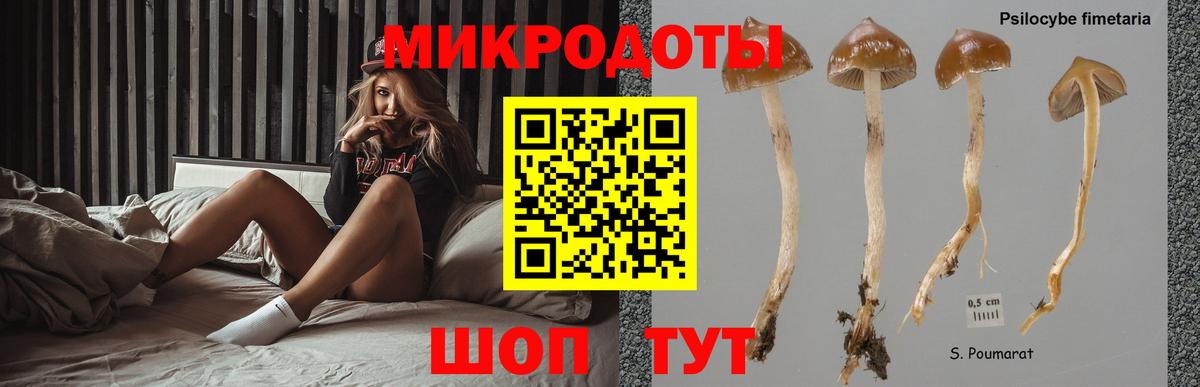Псилоцибиновые грибы GOLDEN TEACHER Омск